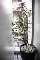 Spring Guest House
