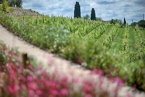 Luxury Chianti in Olive
