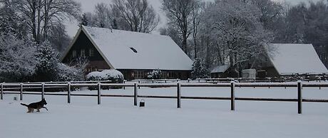 Erve Het Roolvink