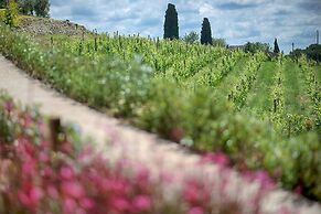 Luxury Chianti Between Grapes