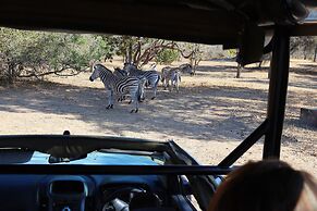Phelwana Game Lodge
