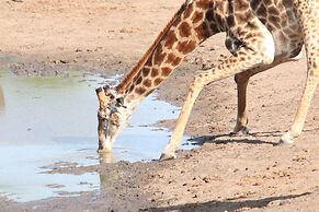 Phelwana Game Lodge