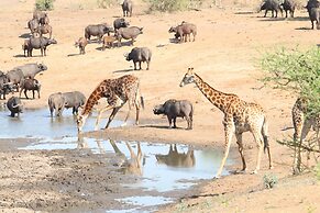 Phelwana Game Lodge