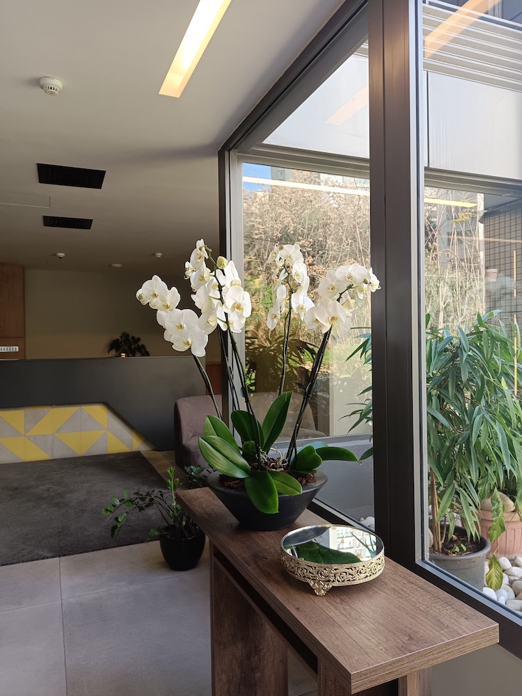 Shade Suites and Studios