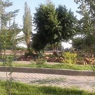 Moyo lodge