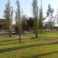 Moyo lodge