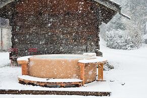 Chalet sur les Monts Morzine