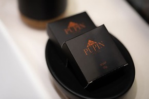 Hotel Pupin