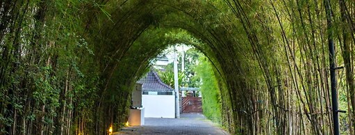 Villa for Rent in Bali 2084