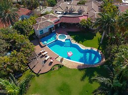 Royal Palm