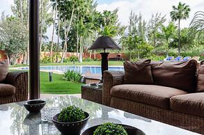 Royal Palm