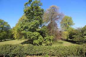 17G Regent Place