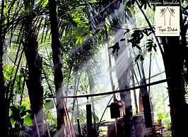 Tegal Dukuh Camp