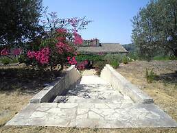 Il Bagolaro
