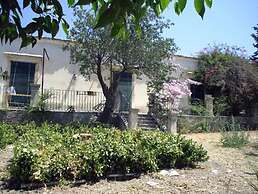 Il Bagolaro