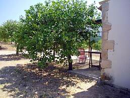 Il Bagolaro
