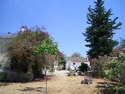 Il Bagolaro