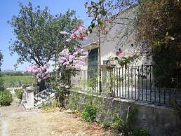 Il Bagolaro