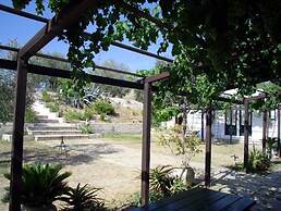 Il Bagolaro