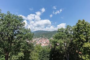 The Lynx Mountain Resort