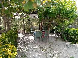 Wonderland Resort