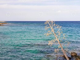 Villa for Rent in Protaras 1234
