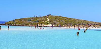 Villa for Rent in Protaras 1234