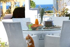 Villa for Rent in Protaras 1051