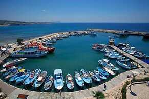 Beautiful Villa With Private Pool, Protaras Villa 1028