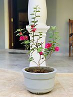 Kandy Eco Paradise