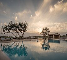 Phaos at Cellaria Estate