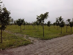 Salas Farma 47