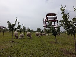 Salas Farma 47