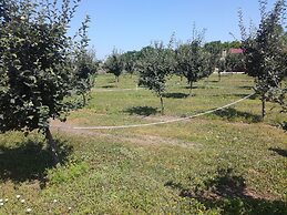Salas Farma 47