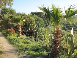 L Agave e la Palma Nana
