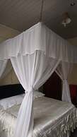 Dreamland Hotel
