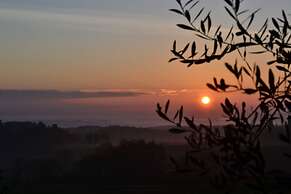Podere Ficareto Farm