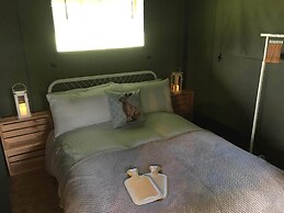 Wingfield Escapes