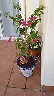 3 Bed Apartment to Rent in Mojacar, Spain