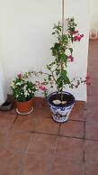 3 Bed Apartment to Rent in Mojacar, Spain