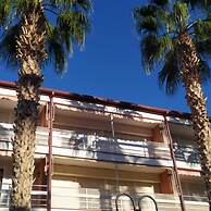 Amazing Apartment Infront the Beach