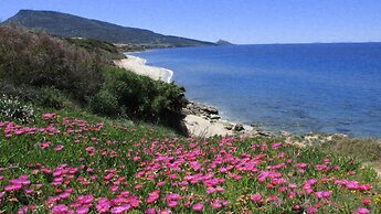 Terrazze sul Mare Alla Ciaccia - Apartment 3
