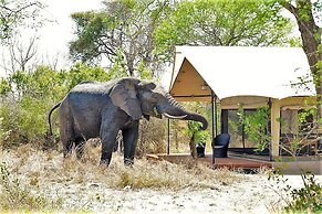 Honeyguide Khoka Moya Camp