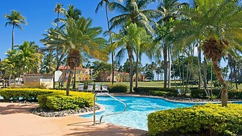 Palm View
