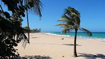 Serena Baja