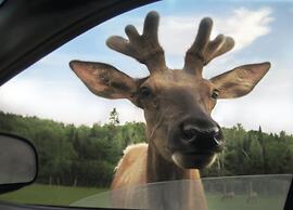 Parc Omega