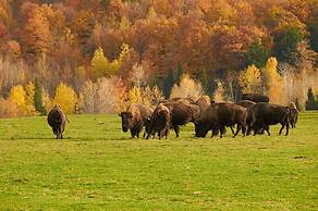 Parc Omega