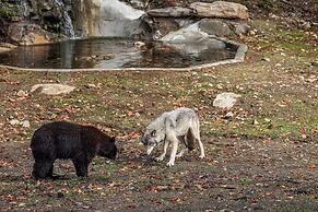 Parc Omega