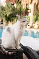 Mare Garden Hotel Akyarlar