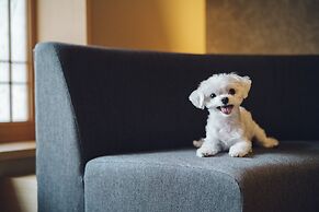 Asahi House Kyoto Dog Friendly